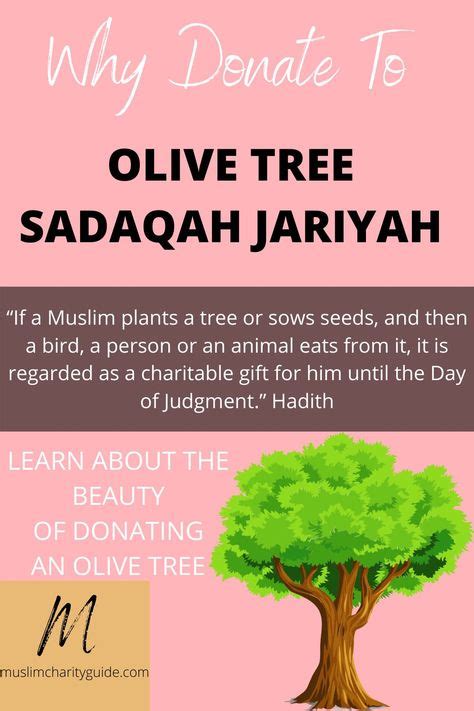 plant a tree sadaqah jariyah|Sadaqah jariyah Tree .